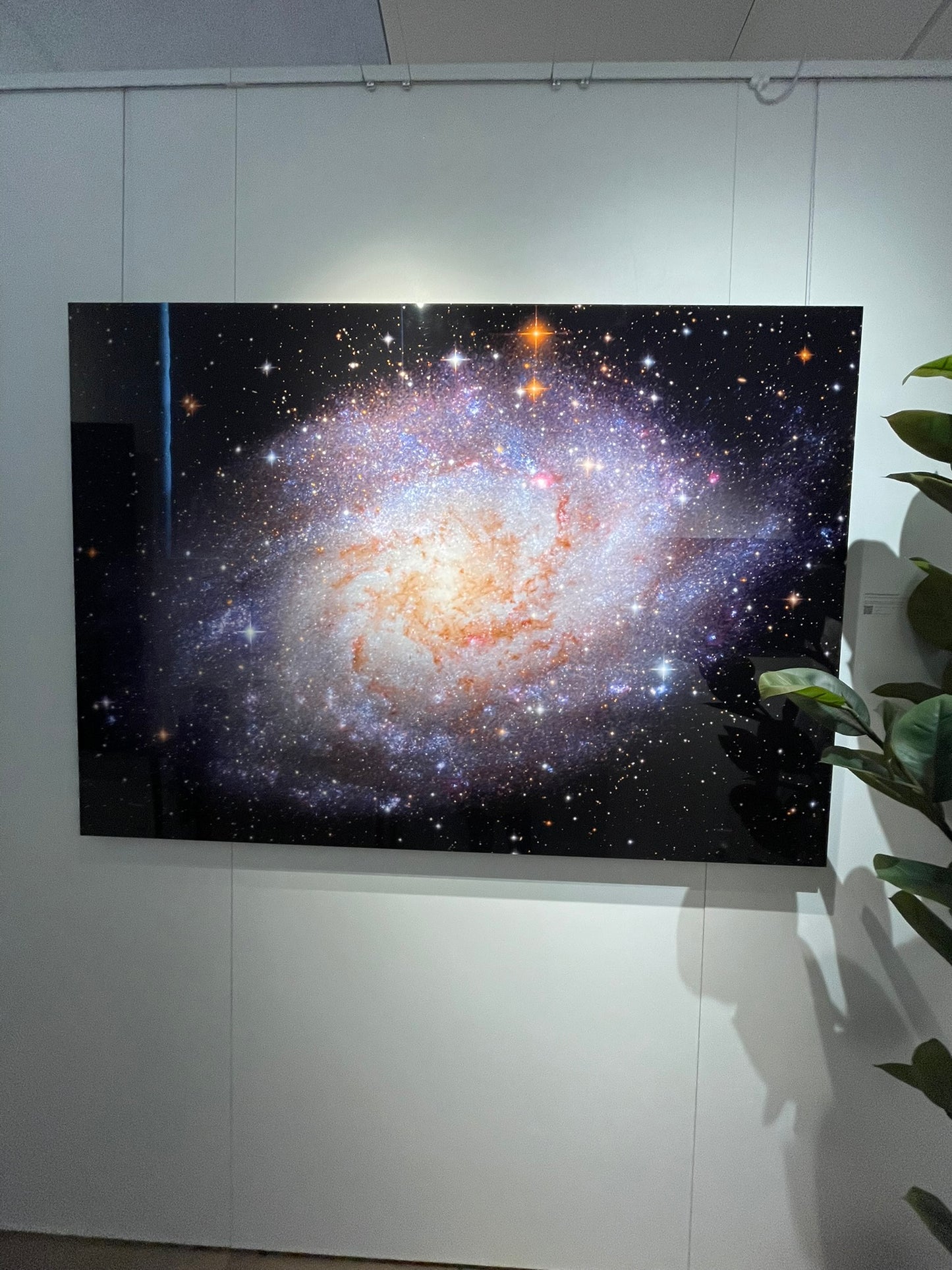 "M33: The Triangulum Galaxy" - Limited Edition ChromaLuxe® Metal Wall Art 60" x 43"