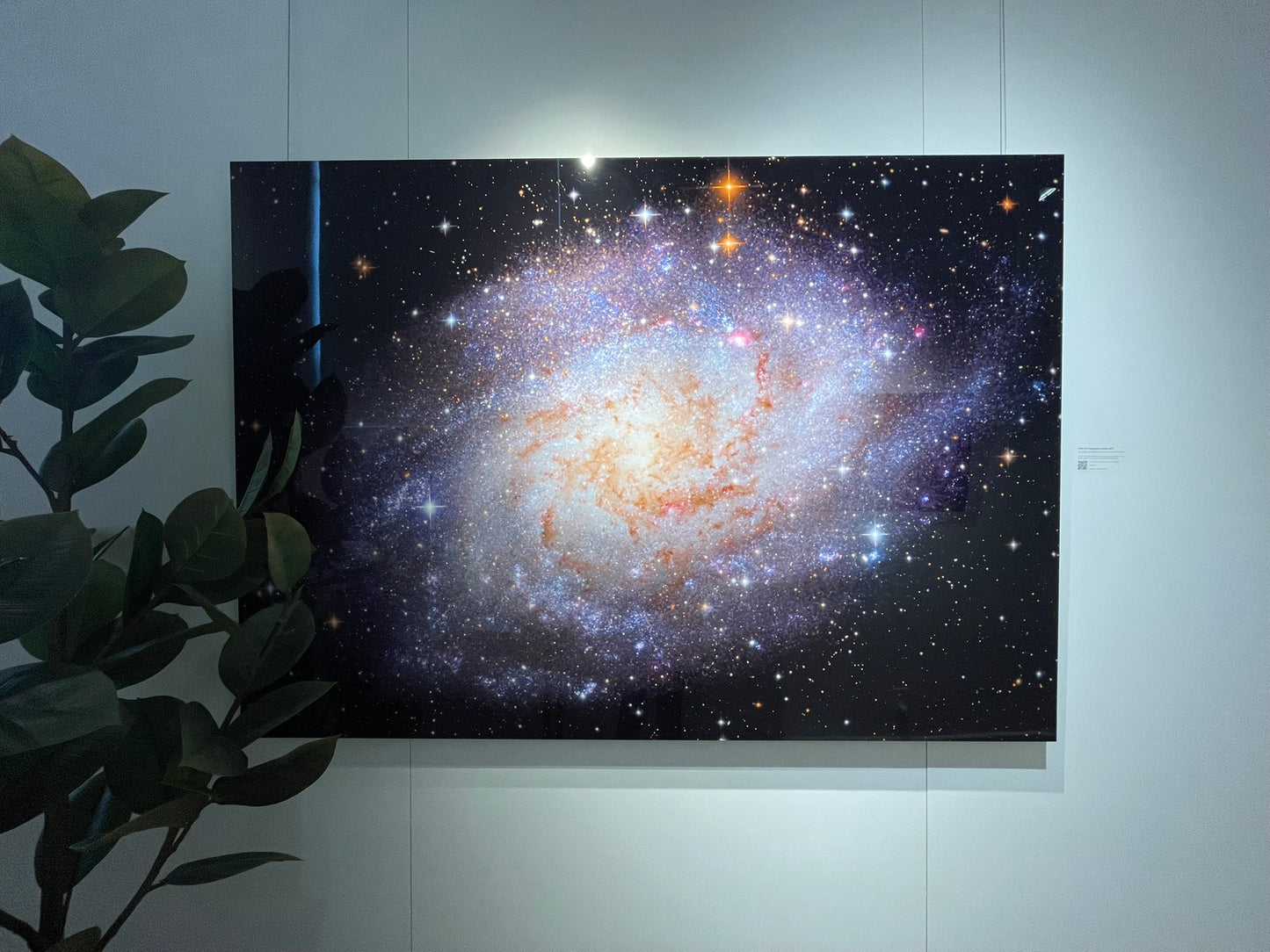 "M33: The Triangulum Galaxy" - Limited Edition ChromaLuxe® Metal Wall Art 60" x 43"