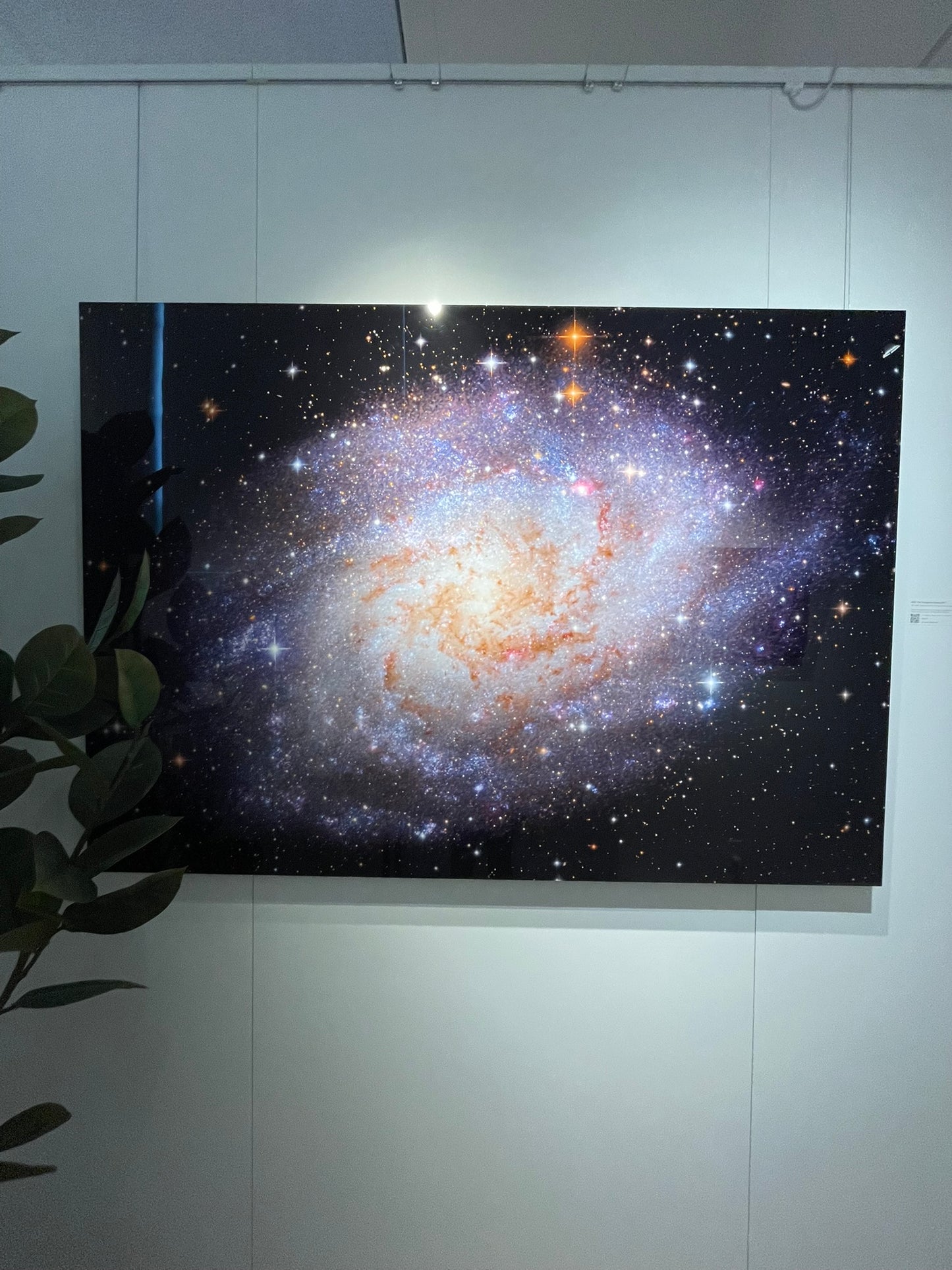 "M33: The Triangulum Galaxy" - Limited Edition ChromaLuxe® Metal Wall Art 60" x 43"