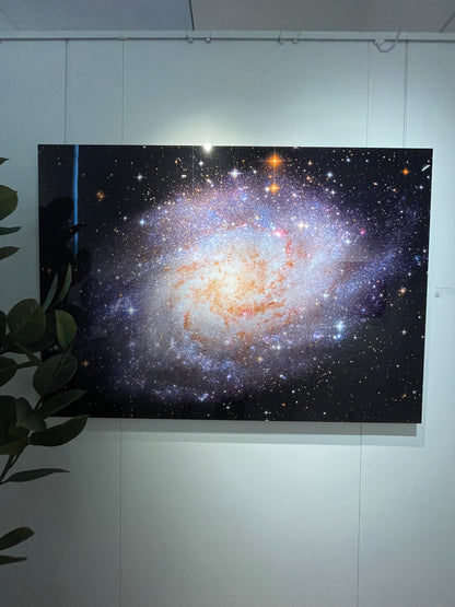 "M33: The Triangulum Galaxy" - Limited Edition ChromaLuxe® Metal Wall Art 60" x 43"