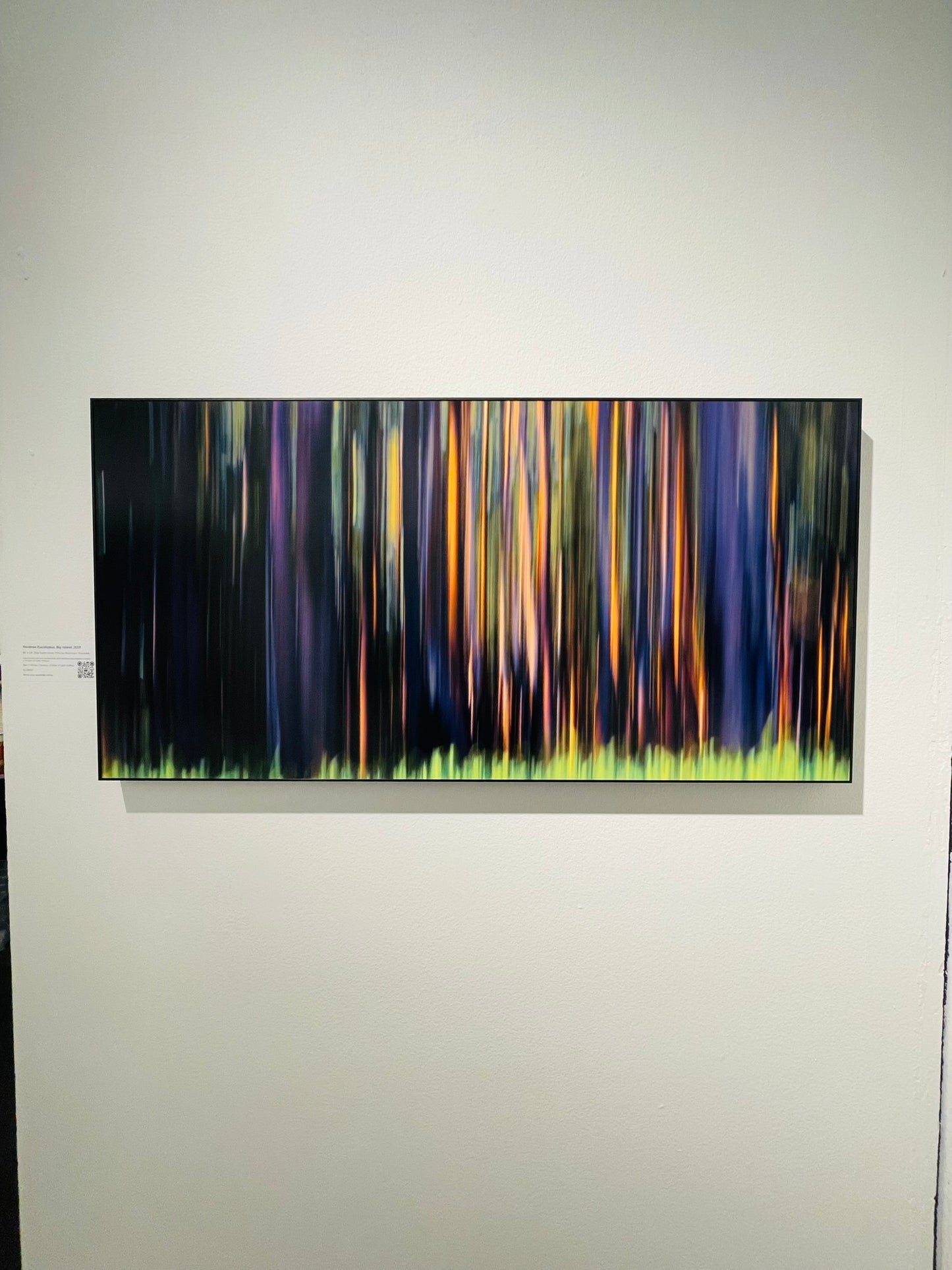 "Rainbow Eucalyptus, Big Island" - Limited Edition ChromaLuxe® Metal Wall Art