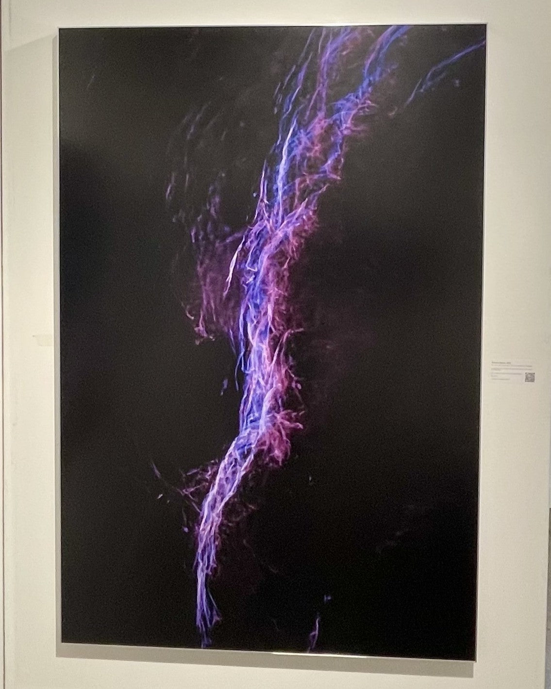 "Plasma Dance" - Limited Edition ChromaLuxe® Metal Wall Art