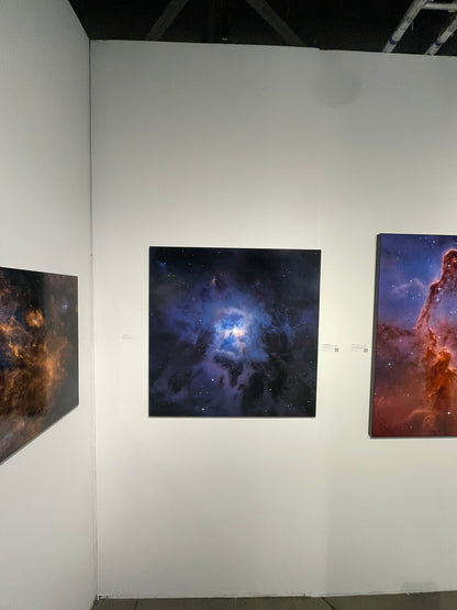 "The Farthest Flower" - Limited Edition ChromaLuxe® Metal Wall Art 36" x 36"