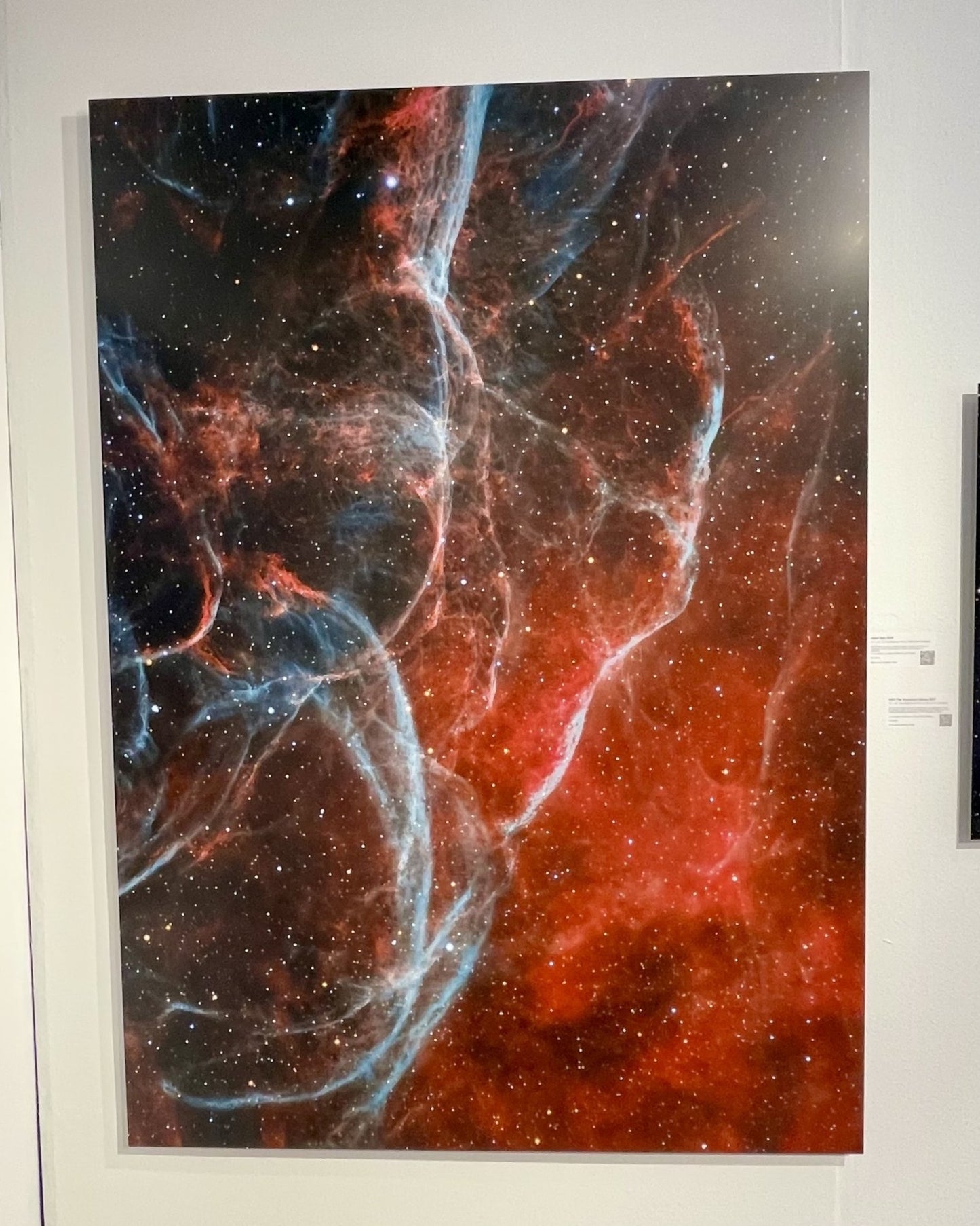 "Aqua Vela" - Limited Edition ChromaLuxe® Metal Wall Art 44" x 62" Metal