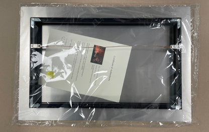 Framed artwork with a certificate of authenticity inside, wrapped in clear plastic on a gray background