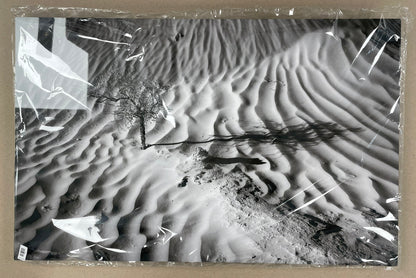 Black and white sand dune with a small plant, encased in clear plastic on a beige background