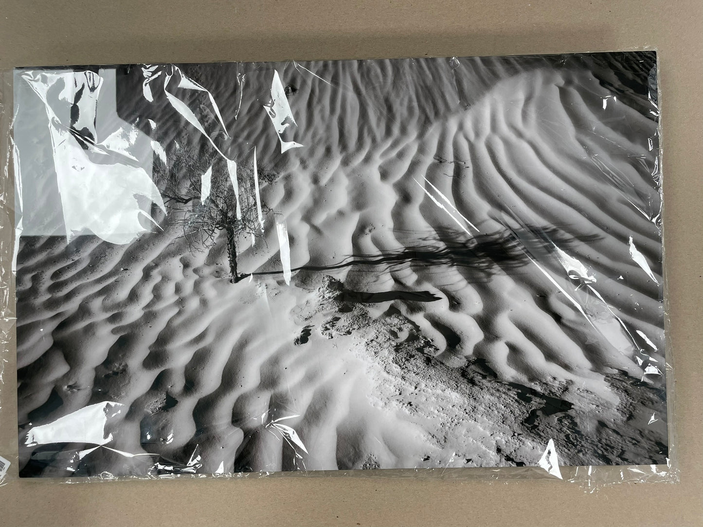 "Death in Dunes" - Limited Edition ChromaLuxe® Metal Wall Art 24" x 15.3"