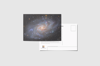 M33 The Triangulum Galaxy 5x7 Postcard