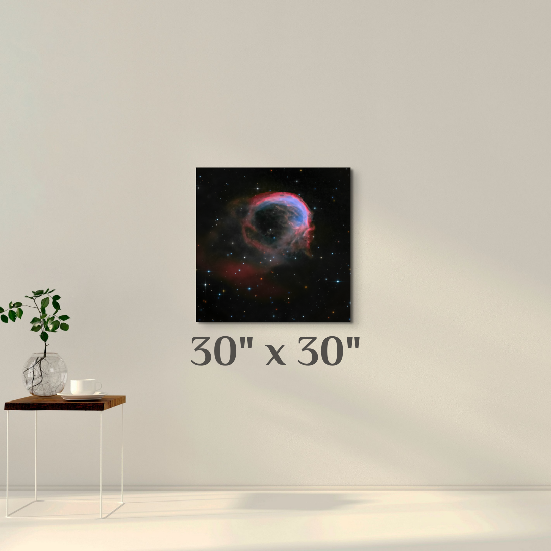 A wall art mockup featuring the  30 inch wide metal print titled "Profile of an Alien" displayed on wall.