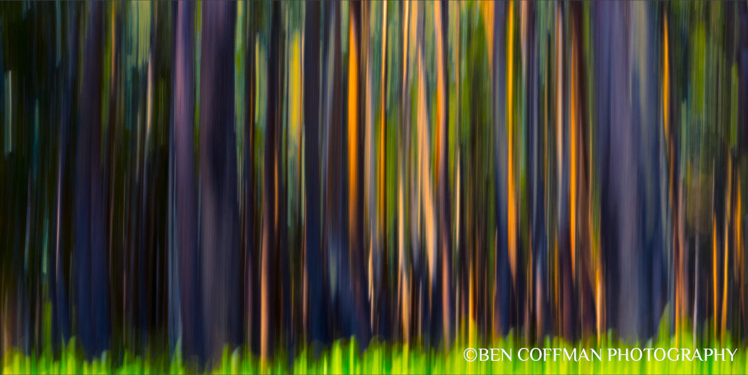 A jpg of the impressionist photograph titled "Rainbow Eucalyptus, Big Island" shot by landscape photographer Ben Coffman, featuring abstract rainbow striations.
