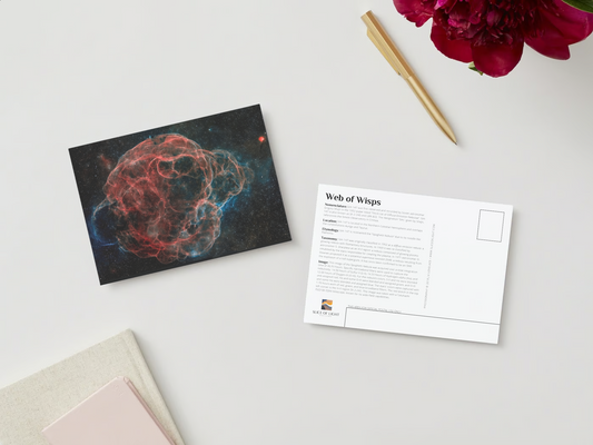 Web of Wisps 5x7 Postcard