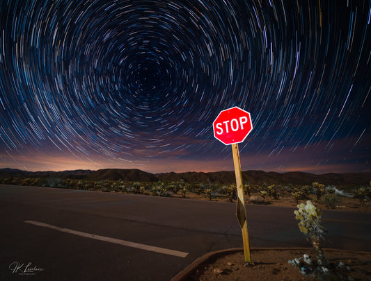 A jpg of the nightscape photograph titled "Strange Occurrences in the Desert" shot by landscape photographer J K Lovelace featuring Joshua trees, Cholla cacti, and star trails.