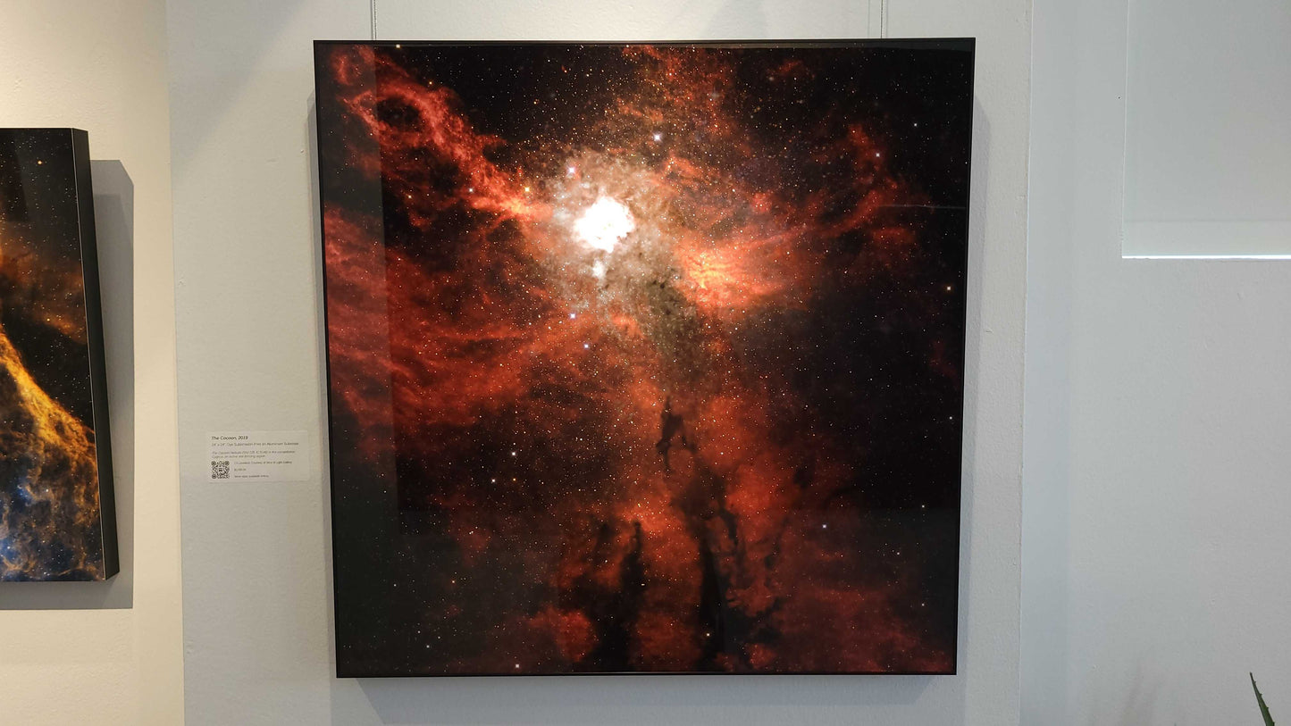 A photograph of the metal print titled "The Cocoon" on display at Slice of Light Gallery