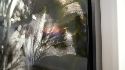 "Beneath the Garden of Earthly Delights" 44" x 44" Hand-Ground Steel - Shadow Box Frame