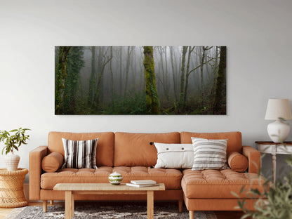 "Forest Park Ferngully"