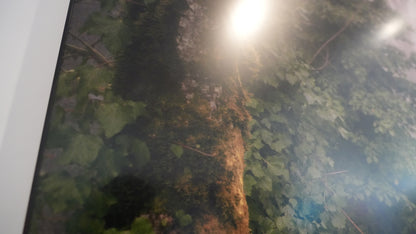 Close-up of a tree with a blurred background