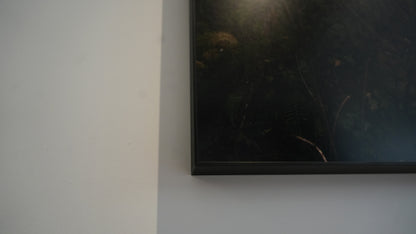 Dark-framed picture on a white wall