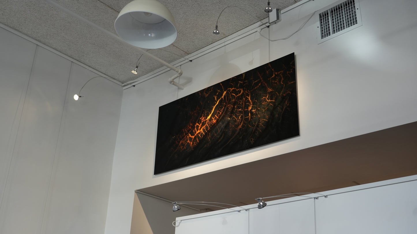 "Golden Veins" - Limited Edition ChromaLuxe® Metal Wall Art 60" x 27"