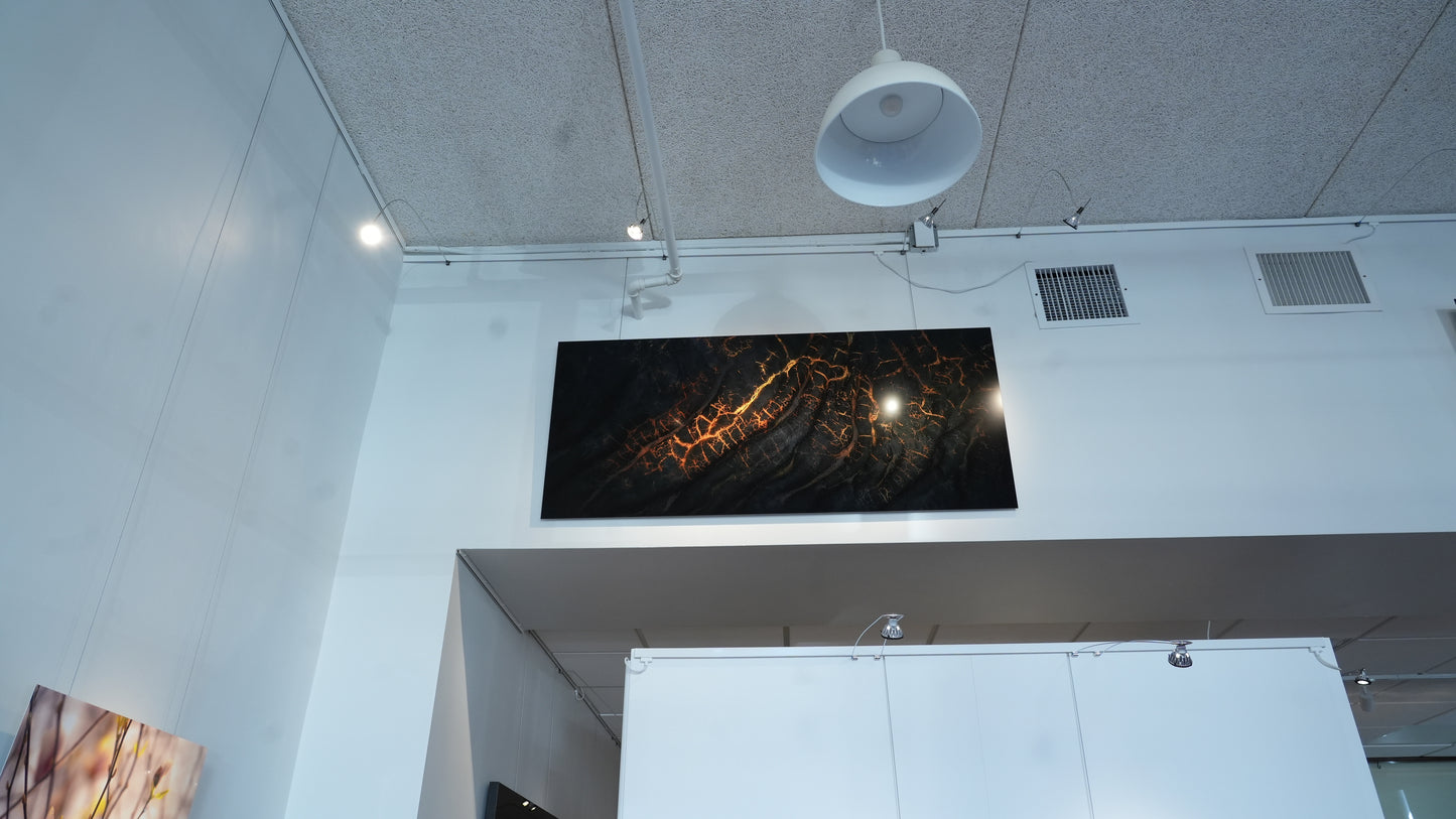 "Golden Veins" - Limited Edition ChromaLuxe® Metal Wall Art 60" x 27"