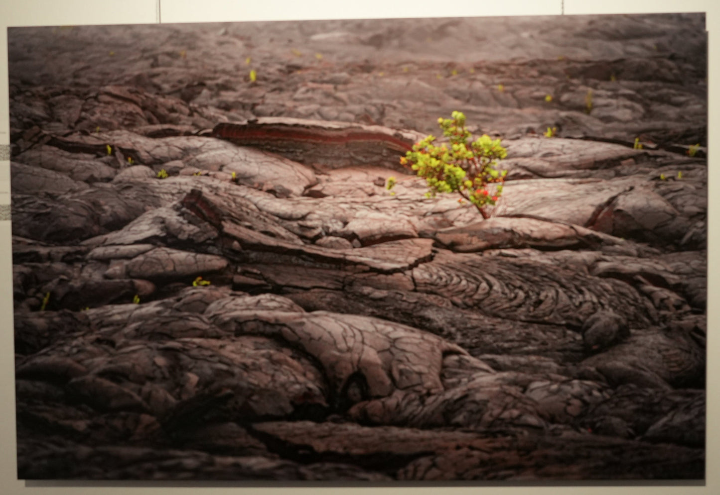 Artistic depiction of a landscape with a tree on a textured surface, displayed on a wall.