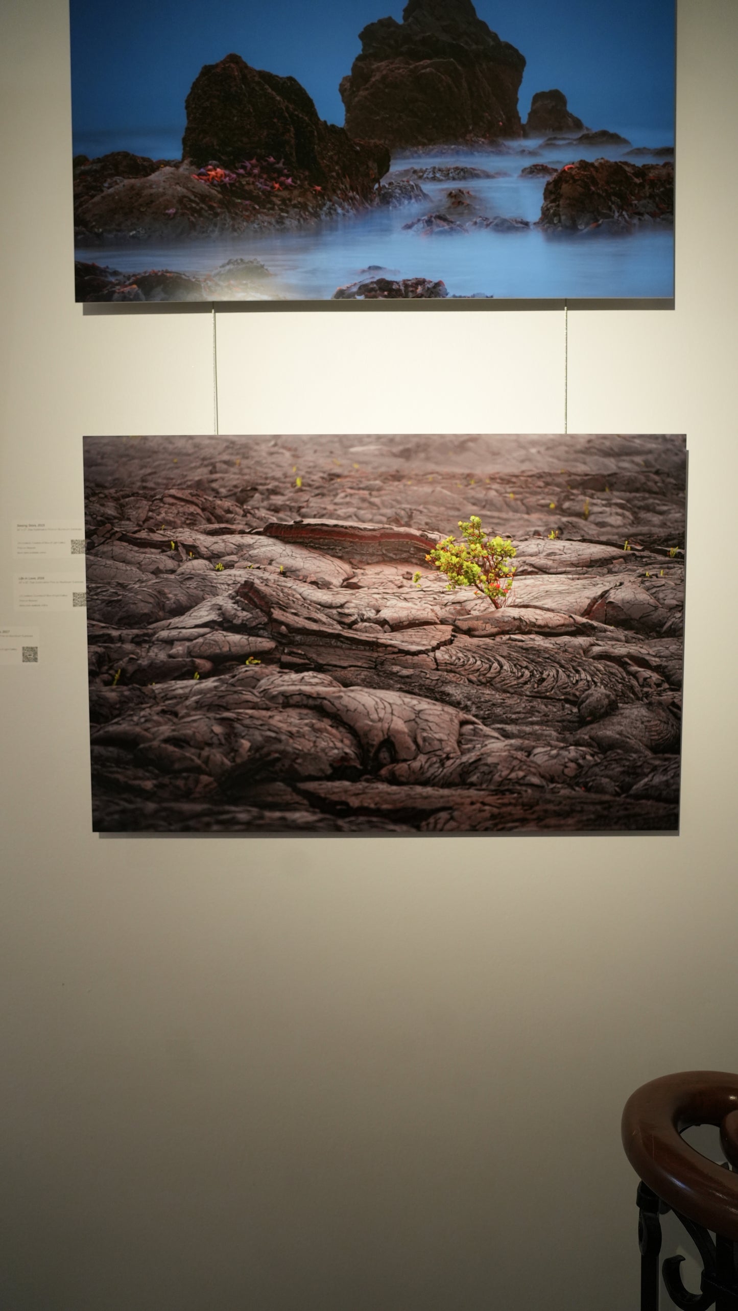 Two large photographs of natural landscapes on a wall.