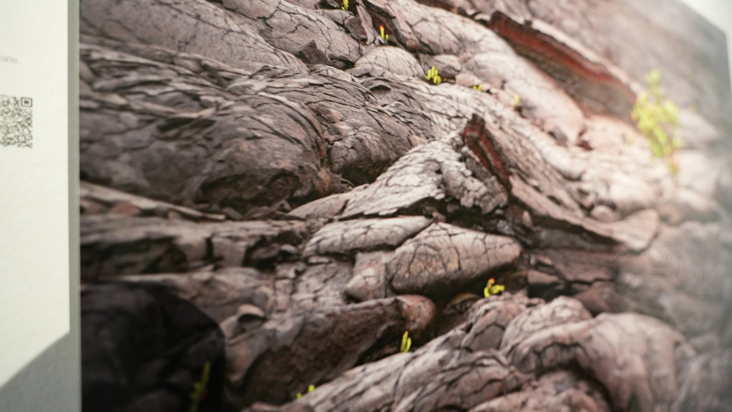 Close-up of textured stone surface with small plants growing.