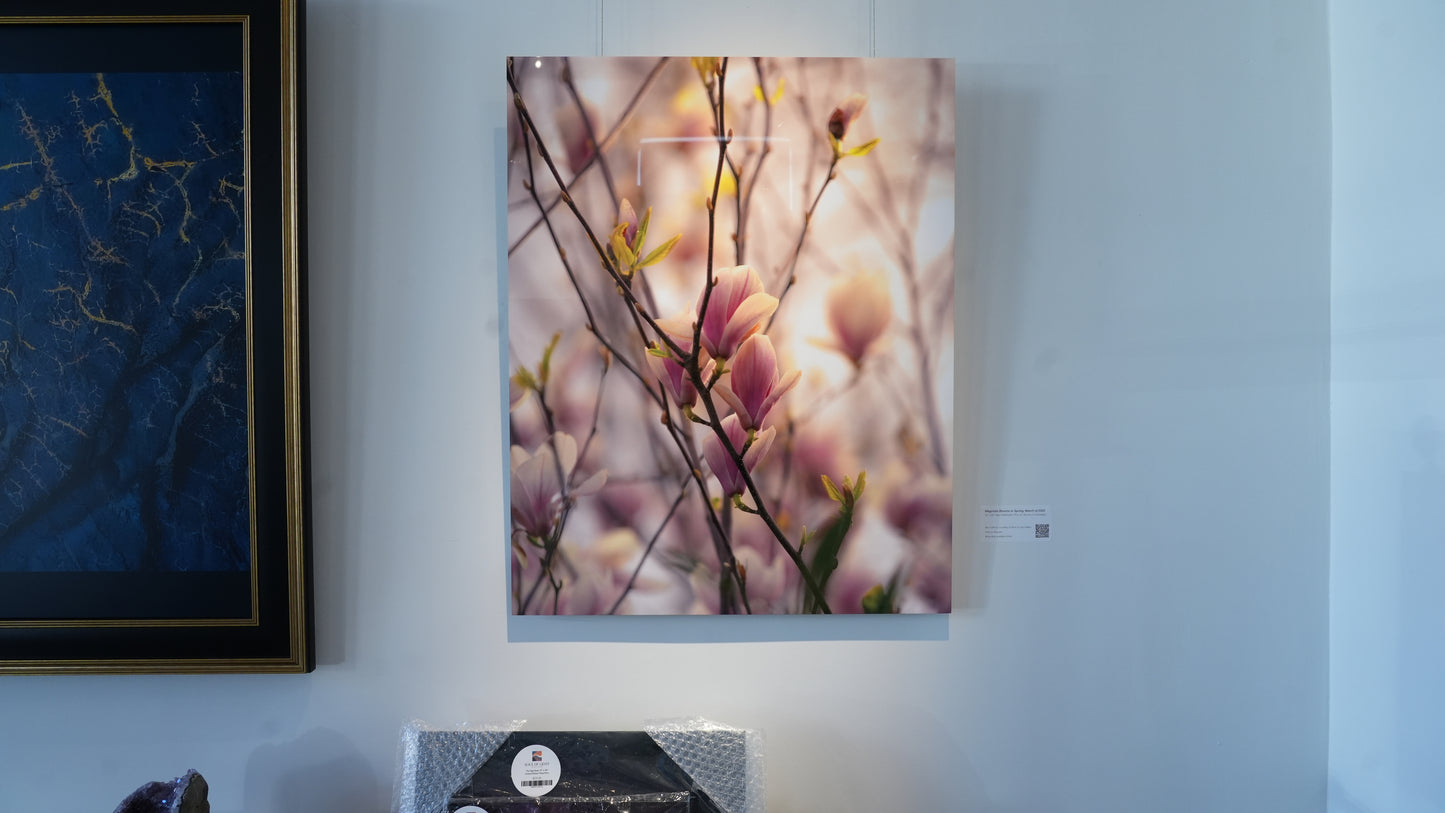 Framed artwork of a floral branch on a wall with another piece of art and a box below.