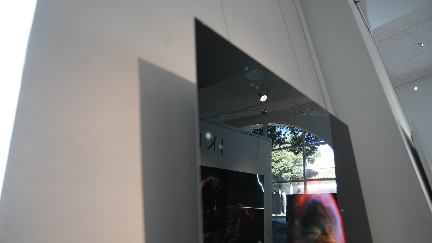 "Profile of an Alien" - Limited Edition ChromaLuxe® Metal Wall Art 30" x 30"