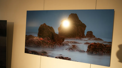 "Seaing Stars" - Limited Edition ChromaLuxe® Metal Wall Art 30" x 16.9"