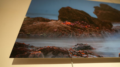 "Seaing Stars" - Limited Edition ChromaLuxe® Metal Wall Art 30" x 16.9"