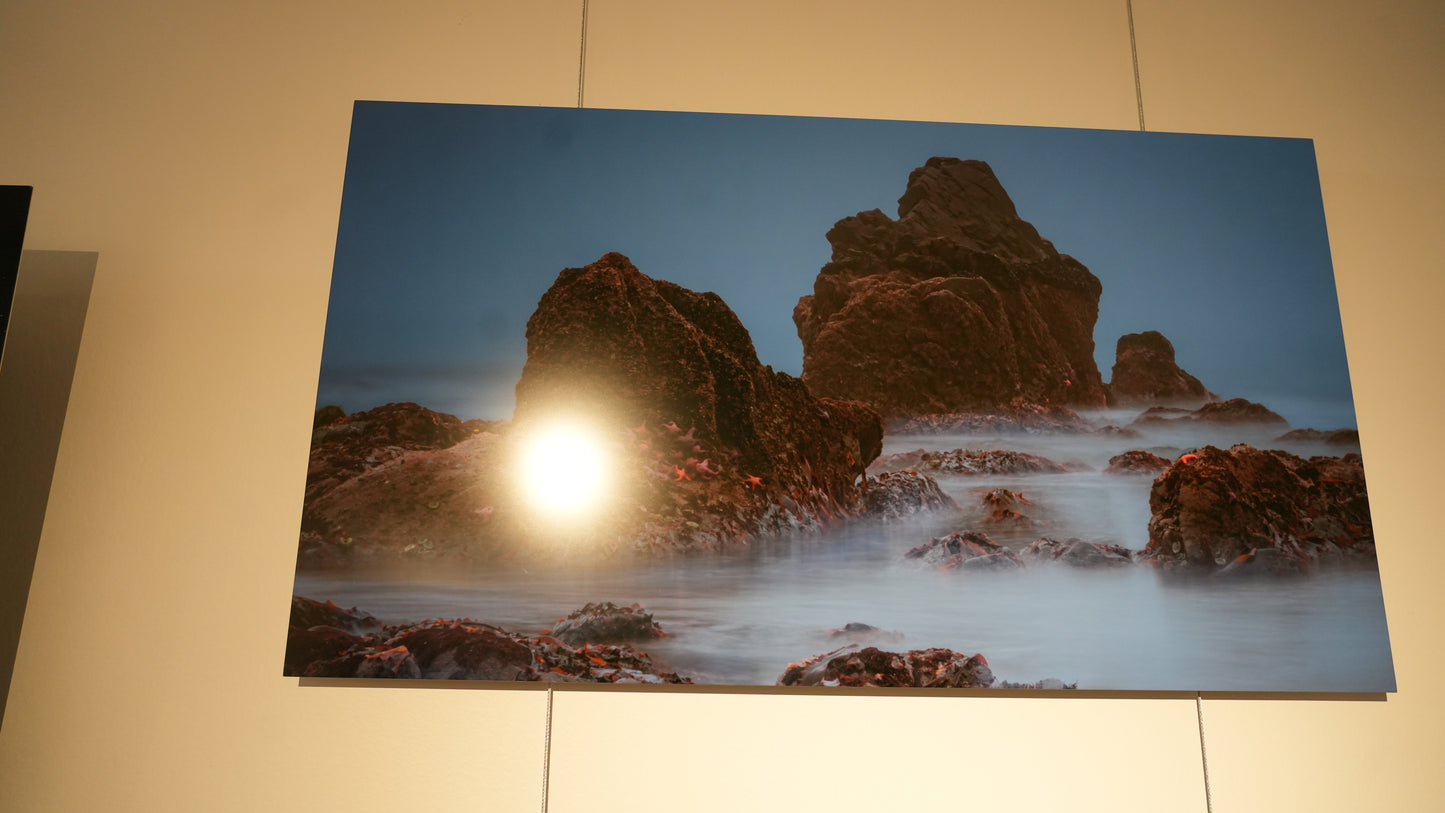 "Seaing Stars" - Limited Edition ChromaLuxe® Metal Wall Art 30" x 16.9"