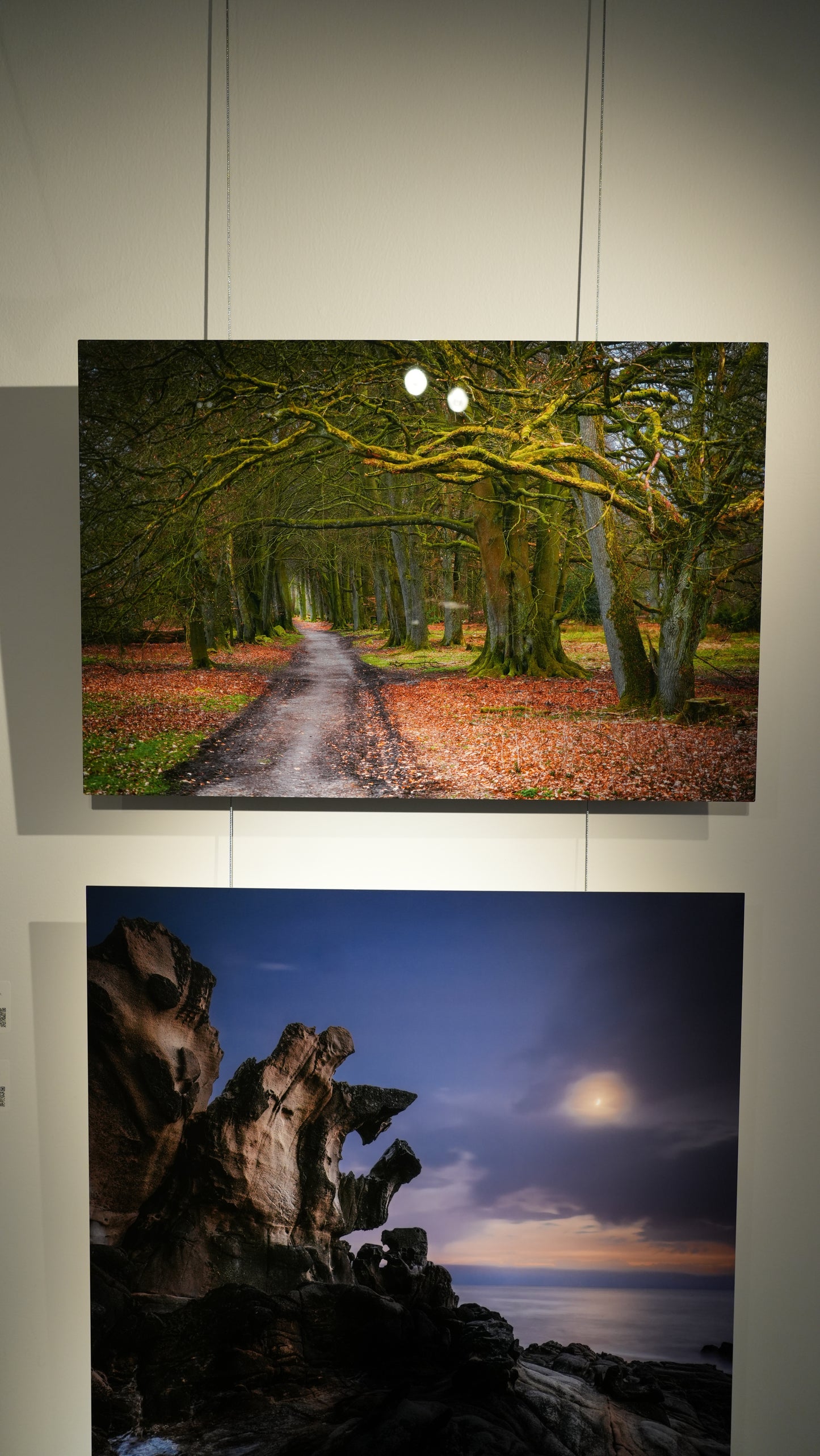 "To Grandmother's House" - Limited Edition ChromaLuxe® Metal Wall Art 24" x 16"