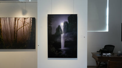 "Venus in Firs" - Limited Edition ChromaLuxe® Metal Wall Art 24" x 36"