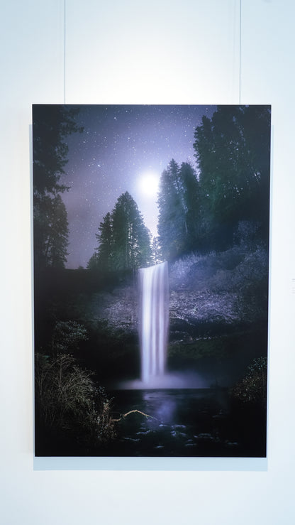 "Venus in Firs" - Limited Edition ChromaLuxe® Metal Wall Art 24" x 36"