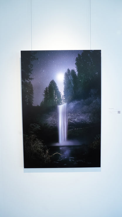 "Venus in Firs" - Limited Edition ChromaLuxe® Metal Wall Art 24" x 36"