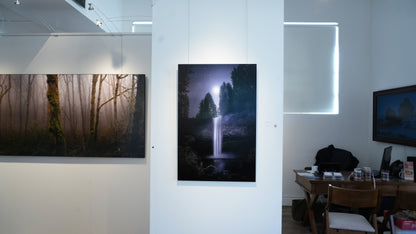 "Venus in Firs" - Limited Edition ChromaLuxe® Metal Wall Art 24" x 36"