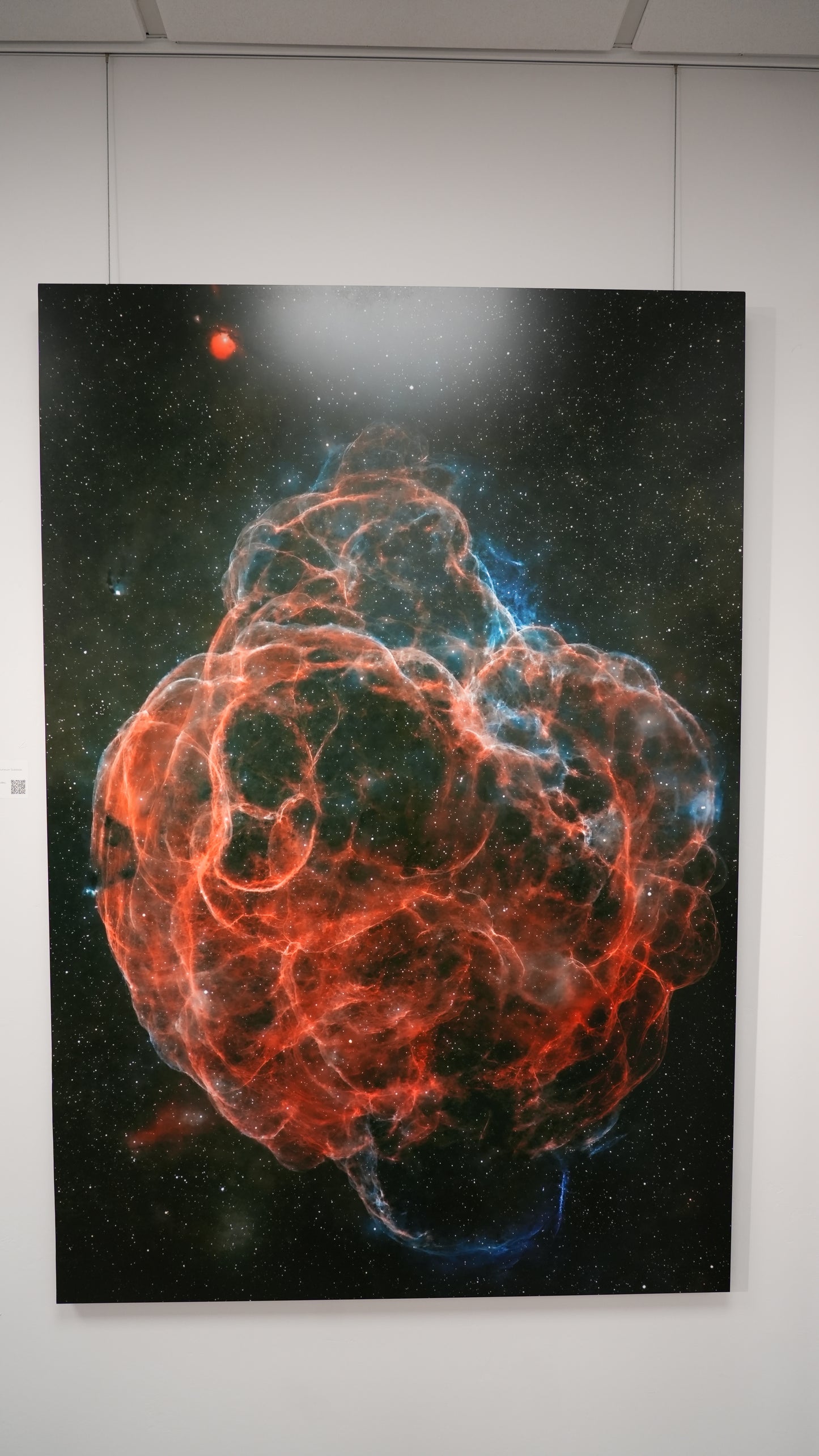 "Web of Wisps" - Limited Edition ChromaLuxe® Metal Wall Art 36" x 52.6"