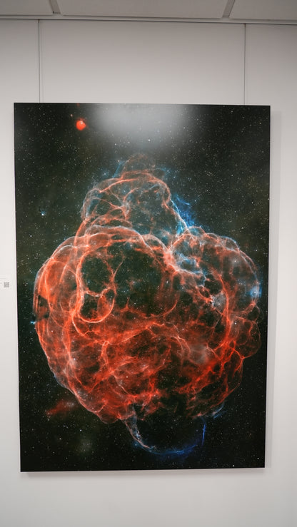 "Web of Wisps" - Limited Edition ChromaLuxe® Metal Wall Art 36" x 52.6"