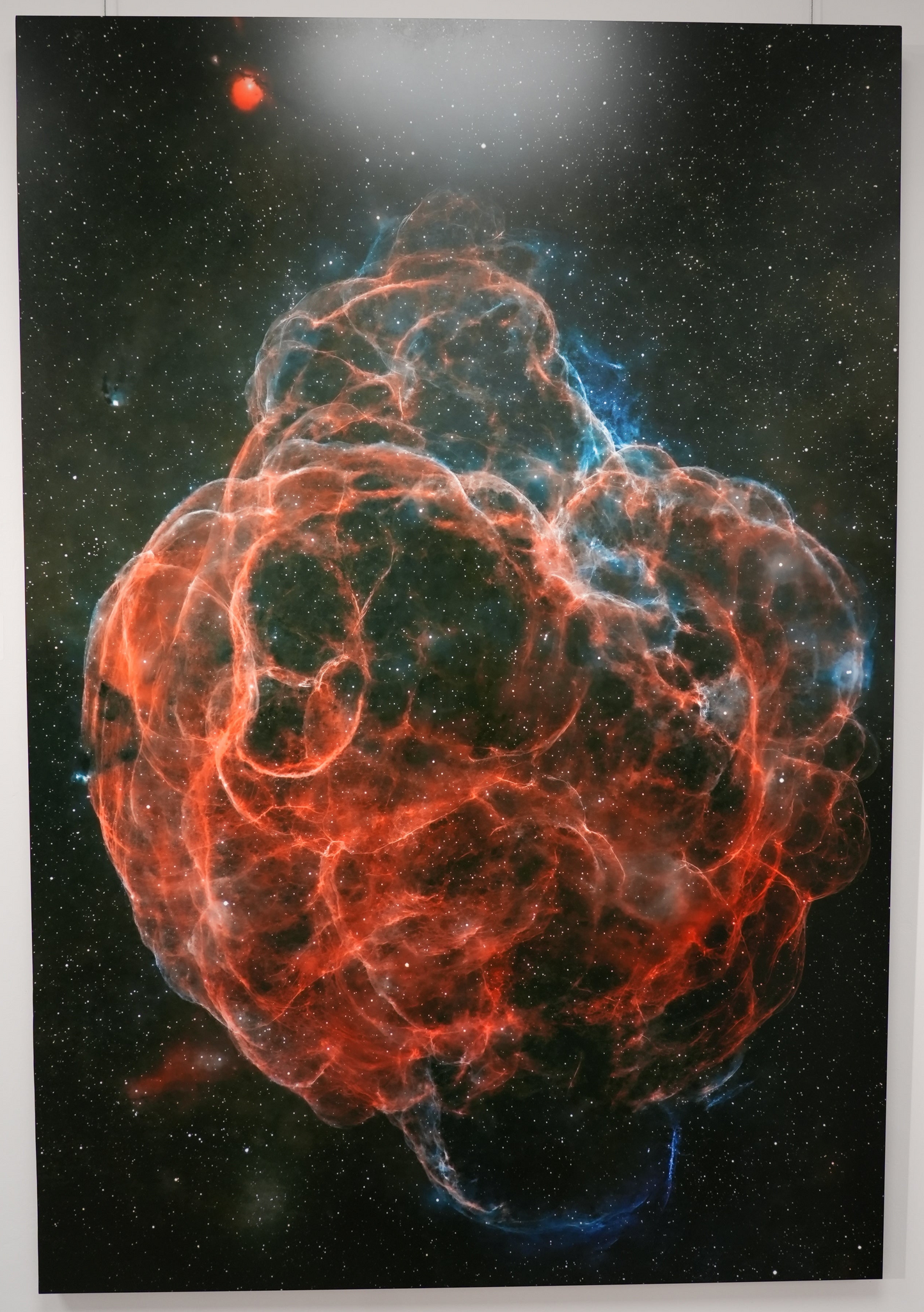 "Web of Wisps" - Limited Edition ChromaLuxe® Metal Wall Art 36" x 52.6"