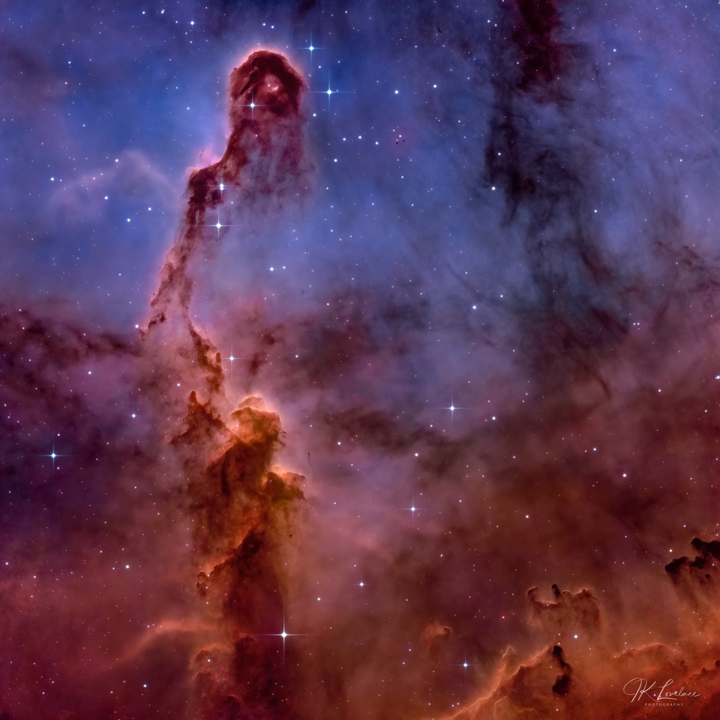 A jpg of the deep sky photograph titled "Elephant's Trunk" shot by astrophotographer J K Lovelace featuring The Elephant's Trunk Nebula
