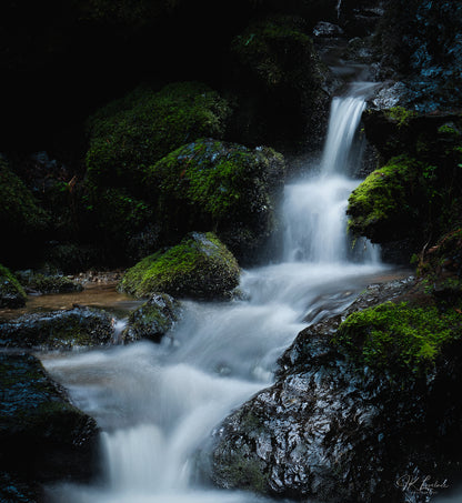 A jpg of the landscape photograph titled "Hidden Grotto" shot by landscape photographer J K Lovelace featuring a Redwood National Park waterfall