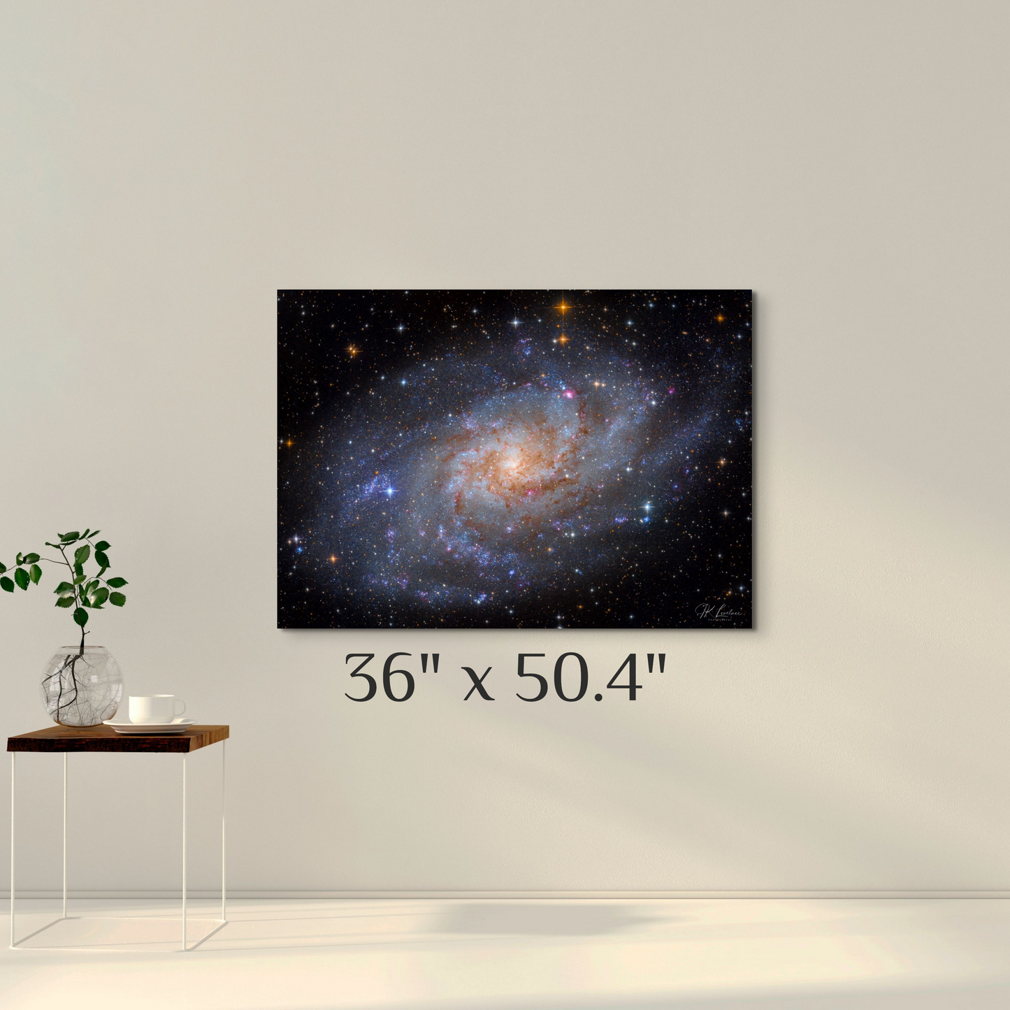 "M33 The Triangulum Galaxy"