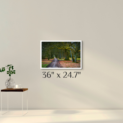 "To Grandmother's House"