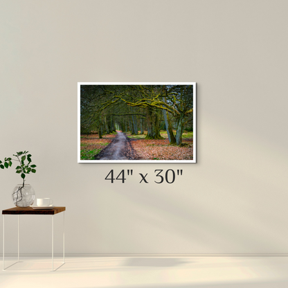 "To Grandmother's House"