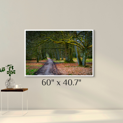 "To Grandmother's House"