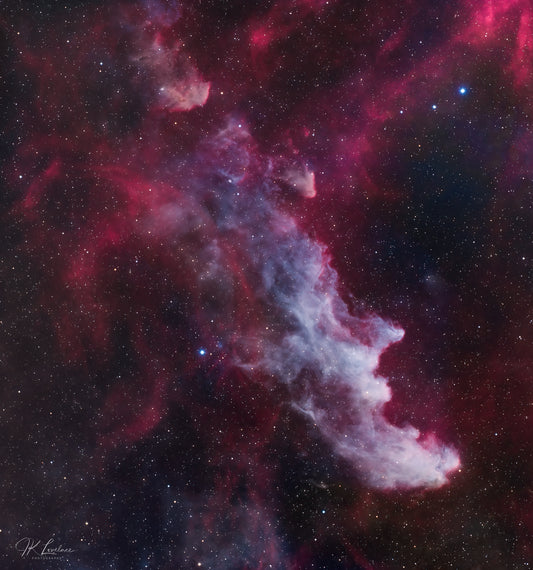 A jpg of the astrophotograph titled "The Wicked Witch of Orion" shot by astrophotographer J K Lovelace featuring The Witch Head Nebula (IC 2118)